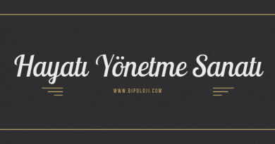 Hayatımı Değiştirmek İstiyorum - Hayatı Yönetme Sanatı