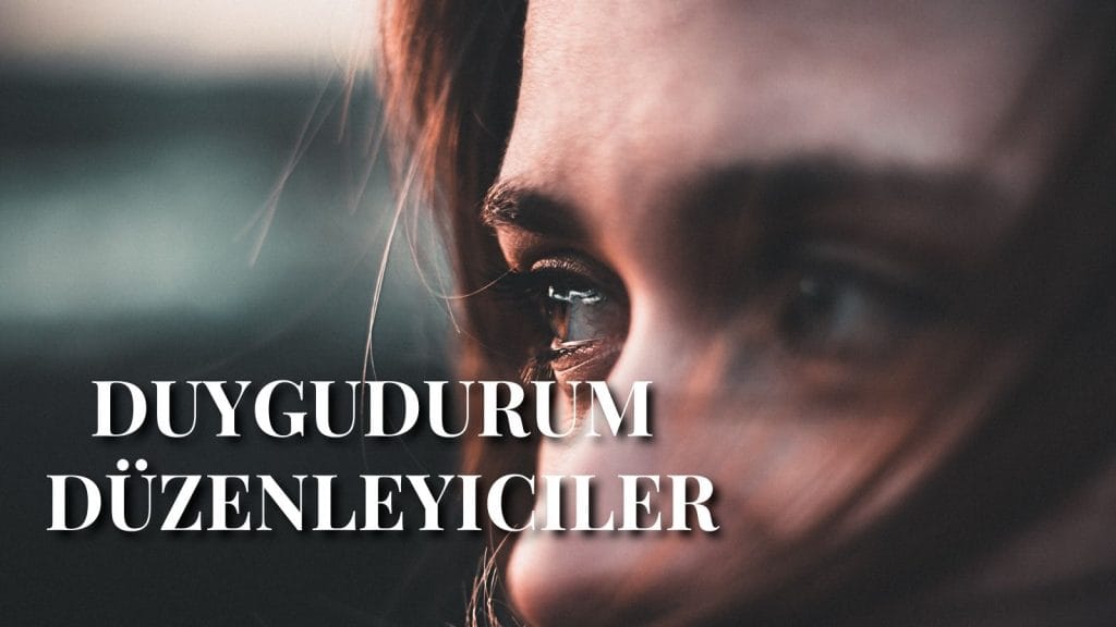 Duygudurum düzenleyiciler